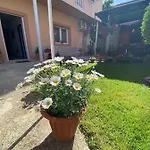 Dora * Zadar