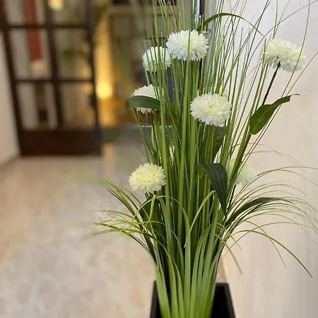 Dora Apartment Zadar