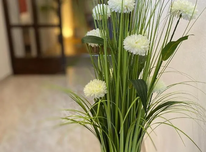 Dora Appartement Zadar