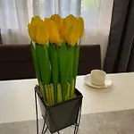 Dora Apartman