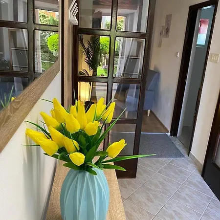 Apartmán Dora Zadar